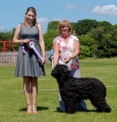 Taylor winning Res Best in Show Briard Assoc Open Show at just 16 mths