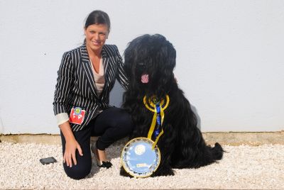 Forte winning the CAC,CACIB, BOB  Group2 Amiiens France
