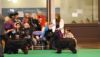 Evie Crufts