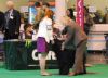 Evie Crufts