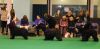 Evie Crufts