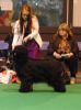 Evie Crufts