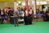 Woody Crufts